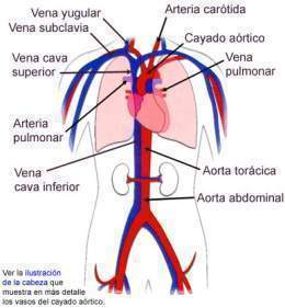 Aparat cardio.jpg