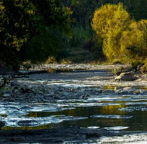 El rio DE LA NATA.jpg
