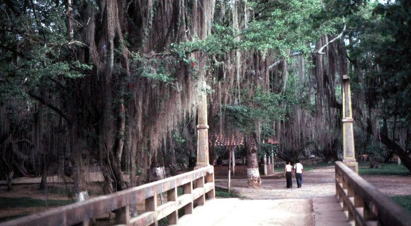 Archivo:Parque Natural El Gallineral.jpg