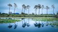 Lagoa de vela 3.jpg
