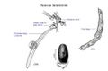 Miniatura de la versión del 02:59 7 jun 2026