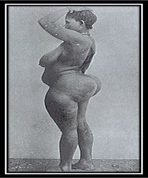 Esteatopigia.jpg