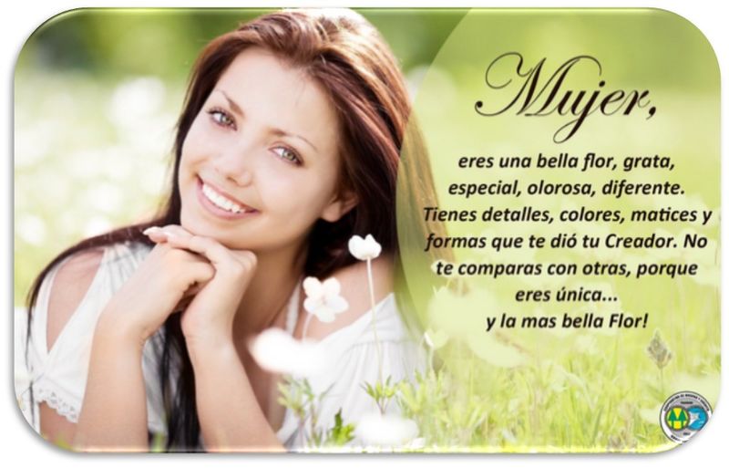 Archivo:Filoginia 4.jpg