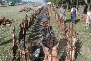 Carneros azados.jpeg
