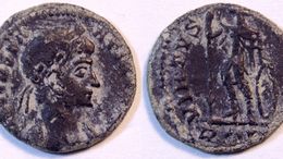 Centenionalis01.jpg