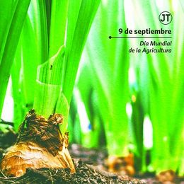 Dia Mundial de la Agricultura.jpg