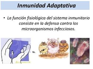 Inmunidadadaptativa - copia.jpg