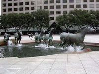 Mustangs de las Colinas2.jpg