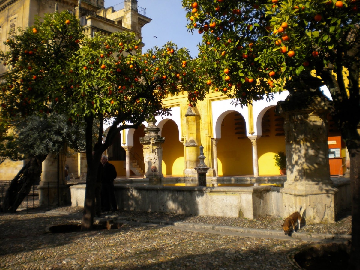 Patio de los Naranjos EcuRed