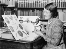 Joyce Allan.jpg