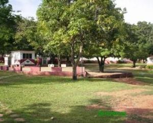 Campismo Manacal. Foto Radio Trinidad..JPG