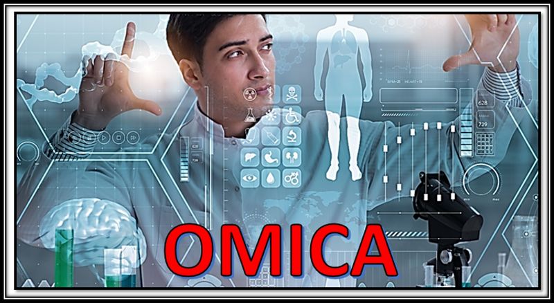 Archivo:Omicanew.jpg