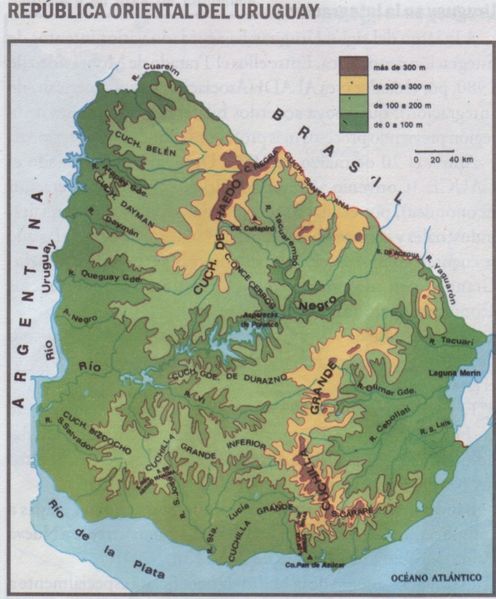 Archivo:Relieve uruguay-803x970.jpg