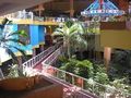 Villa cuba resort4.jpg