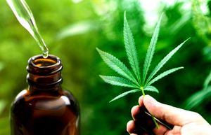 Aceite-de-cannabis.jpg