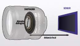 D focal.jpg