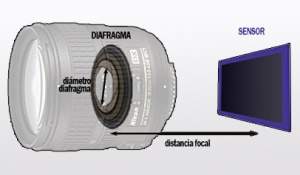 D focal.jpg