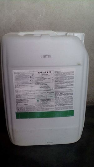 GaliaLS25.jpg