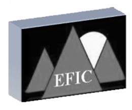 Logo-efic.jpg