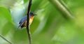 Miniatura de la versión del 16:29 23 ene 2021