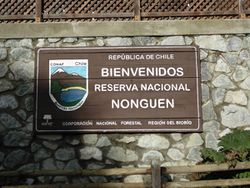 Reserva Nacional Nonguén 2.jpeg