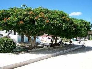 Parque jara.jpg