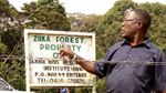 160128141910 ziika forest 640x360 bbc nocredit.jpg