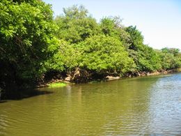 HUMEDAL LACUSTRILLO RÍO CAÑAS postada.JPG