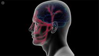 Neuralgia.jpg