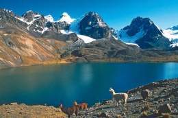 Cordillera real bolivia.jpg