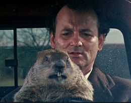 Dia d la marmota.jpg