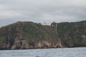 Faro torres.jpg