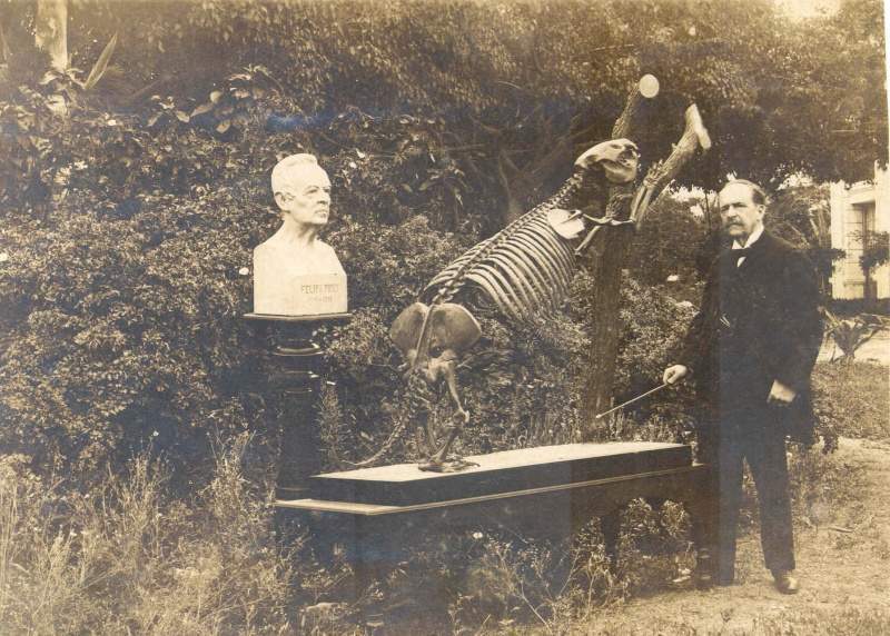 Archivo:01 CTH Poey-Megalocnus-Rodens.jpg