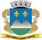 Escudo de Montes Claros