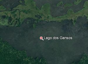 Dos Gansos Br.JPG