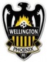 Escudo de Wellington