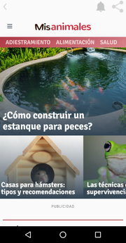 MiFielAmigo7.png