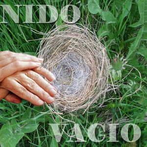 Nido vacio ecured.jpeg