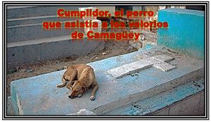 PerroCumplidor.jpg
