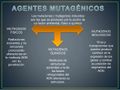 Miniatura de la versión del 08:05 17 jul 2024