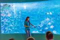 Miniatura de la versión del 11:41 28 ene 2022