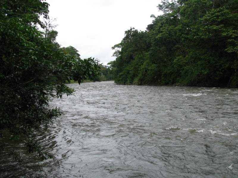 Archivo:Río Sarapiquí.jpg