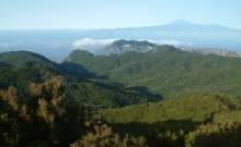 Vista-parque.jpg