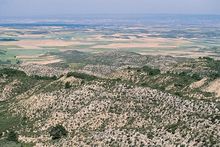 Vista de los Monegros desde la Sierra de Alcubierre.jpg
