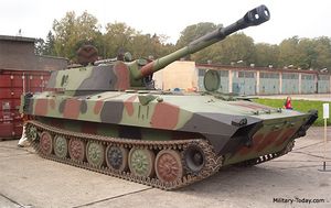 2s1 gvosdika.jpg
