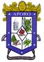 Escudo de Aporo