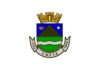 Bandera de Cotia