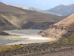 Desierto pata.jpg