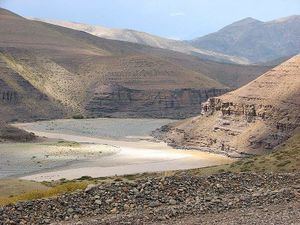 Desierto pata.jpg