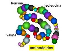 Enf de jarabe de erce.jpeg